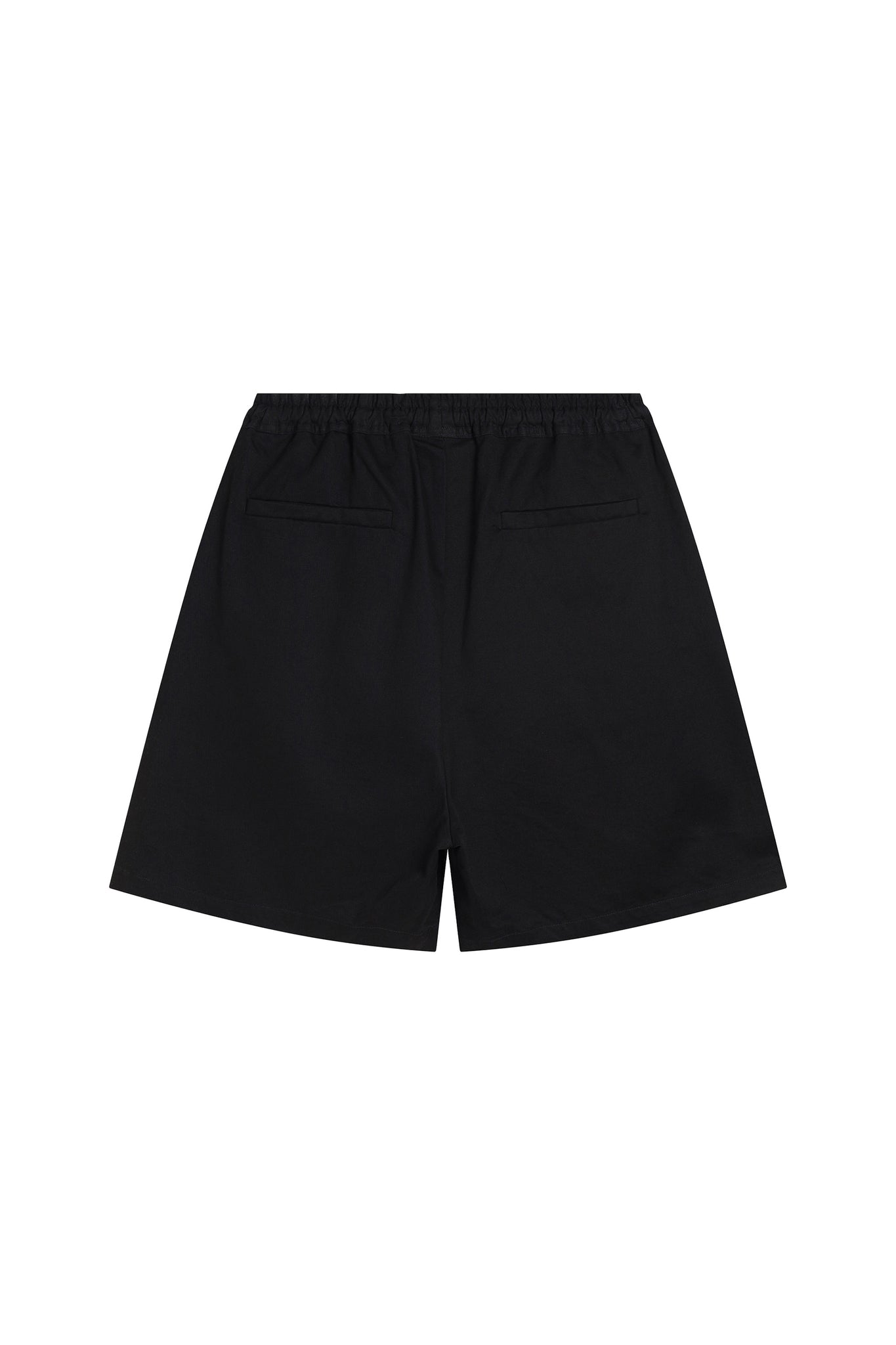 Drawstring Waist Shorts